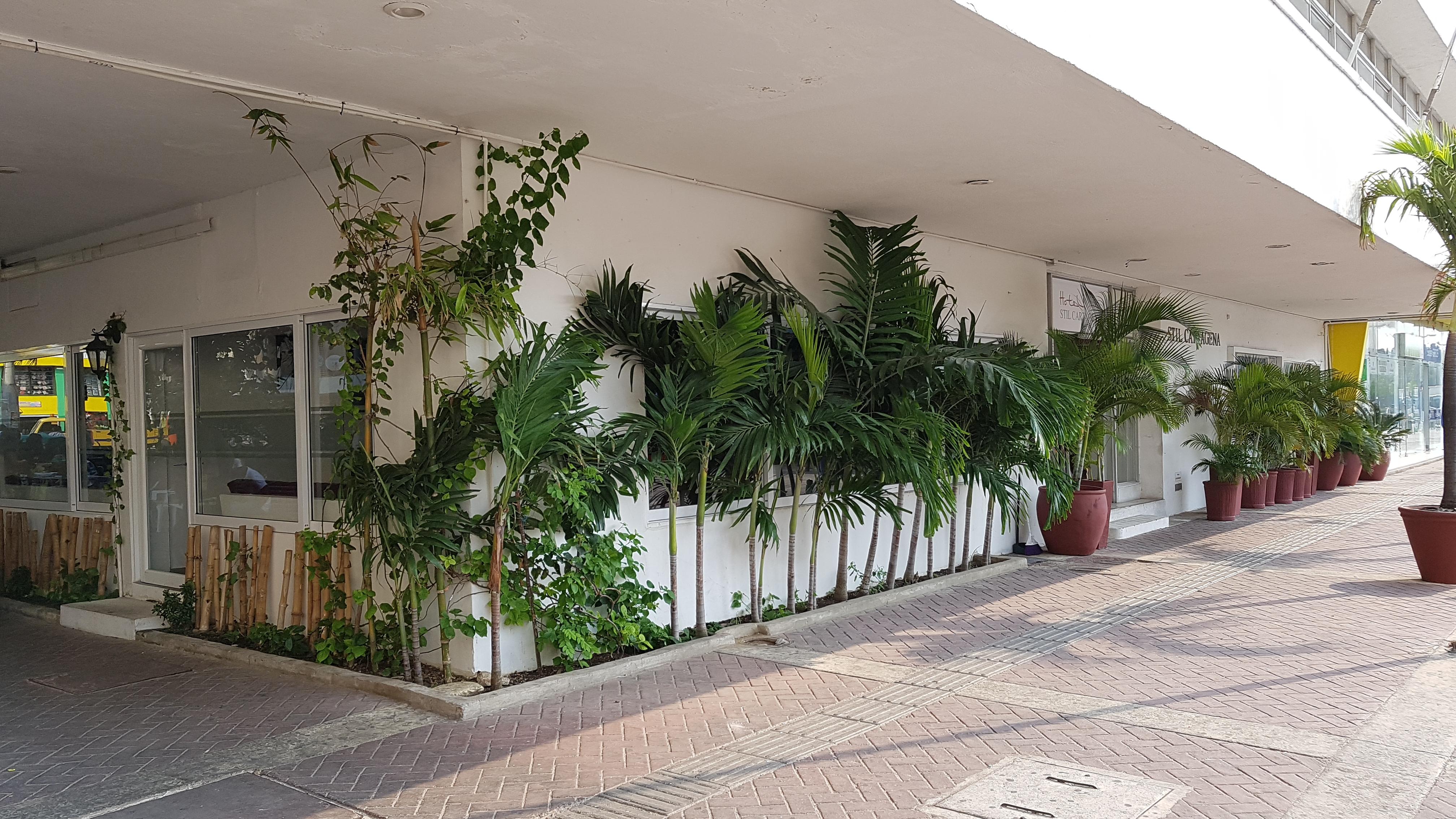 Hotel Stil Cartagène Extérieur photo